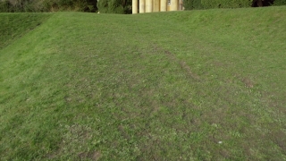 Grass, Field, Landscape, Lawn, Tree, Summer