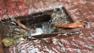 Water, Ice, Food, River, Waterfall, Barbecue