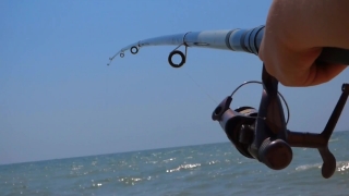 Reel, Winder, Mechanical Device, Fishing Gear, Gear, Mechanism