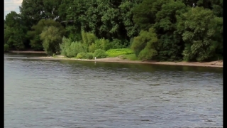 River, Lakeside, Water, Shore, Lake, Forest