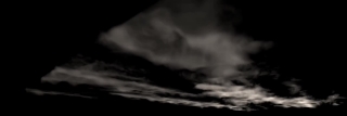 Baby, Fetus, Vertebrate, Chordate, Light, Black