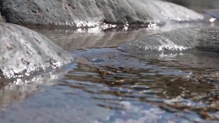 Ice, Crystal, Solid, Water, Ocean, Sea