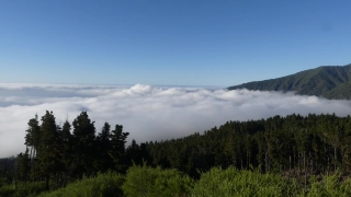 Sky, Landscape, Range, Tree, Forest, Mountain