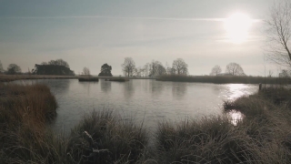 Lake, Lakeside, Shore, Water, Landscape, Body Of Water