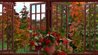 Building, Structure, School, Windowsill, Flowers, Greenhouse