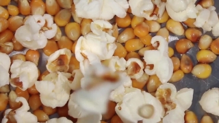 Popcorn, Corn, Cereal, Food, Vegetable, Legume