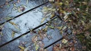 Stone, Rough, Surface, Texture, Pattern, Old
