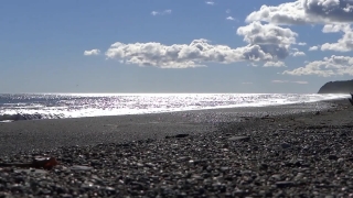 Shoreline, Ocean, Beach, Sea, Water, Sand