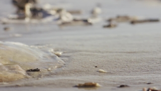 Sand, Beach, Ice, Water, Sea, Ocean