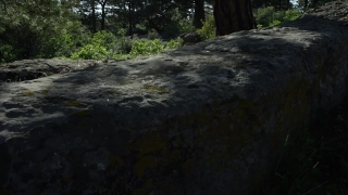 River, Rock, Landscape, Water, Stone, Forest
