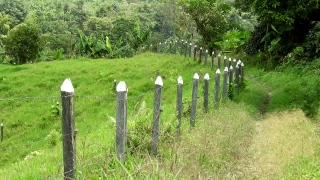 Fence, Cemetery, Picket Fence, Barrier, Worm Fence, Grass