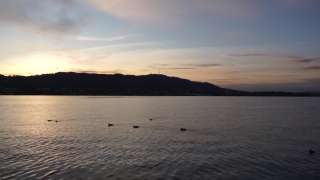 Sea, Ocean, Water, Beach, Sunset, Landscape