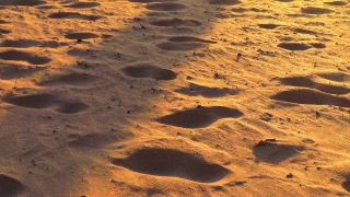 Sand, Soil, Dune, Earth, Desert, Beach