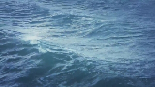 Ocean, Sea, Body Of Water, Water, Baleen Whale, Whale