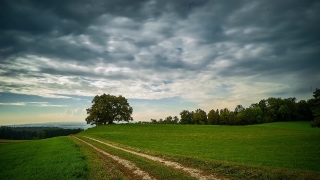 Sky, Grass, Field, Landscape, Meadow, Atmosphere