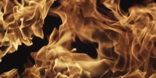 Hen-of-the-woods, Fungus, Organism, Flame, Fire, Heat