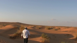 Highland, Landscape, Dune, Sky, Land, Steppe