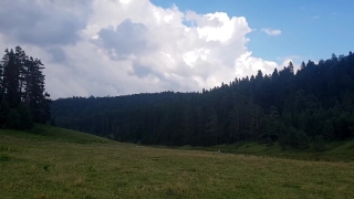 Highland, Landscape, Range, Tree, Mountain, Grass