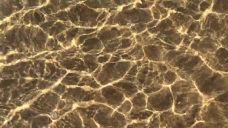 Honeycomb, Structure, Framework, Supporting Structure, Texture, Pattern