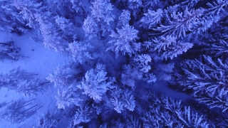 Ice, Crystal, Negative, Pattern, Texture, Film