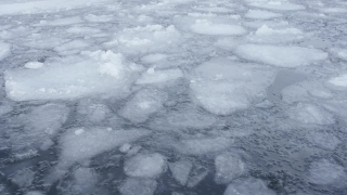 Ice, Crystal, Ocean, Solid, Pattern, Texture