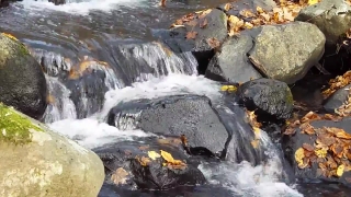 Ice, Crystal, River, Waterfall, Solid, Water