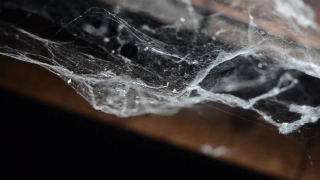 Ice, Crystal, Solid, Water, Plastic Bag, Cold