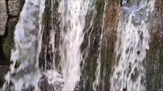 Ice, Crystal, Tree, Solid, Forest, Bark