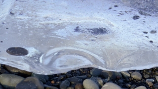 Ice, Crystal, Water, Solid, Sea Turtle, River
