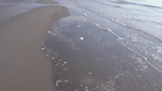 Ice, Crystal, Water, Solid, Snow, Sky