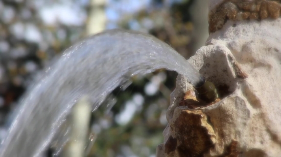 Ice, Mushroom, Vegetable, Crystal, Animal, Fountain