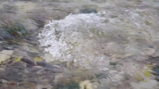 Ice, Ocean, Crystal, Water, Sea, Flour