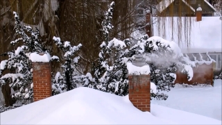 Ice, Snow, Winter, Crystal, Cold, Forest