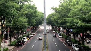 Intersection, Expressway, Road, Highway, Street, Traffic