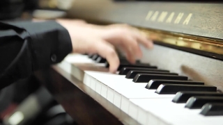 Keyboard, Musical Instrument, Electric Organ, Piano, Electronic Instrument, Device