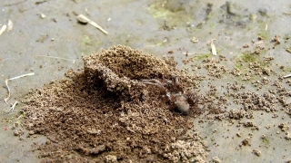 Knoll, Sand, Beach, Sea, Texture, Summer