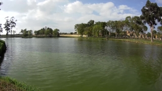 Lake, Lakeside, Shore, Water, Landscape, Basin