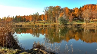 Lake, Landscape, Reflection, Water, Forest, Tree