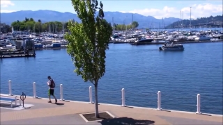 Lakeside, Marina, Shore, Water, Sea, Boat
