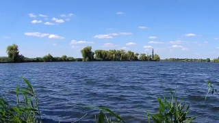 Lakeside, Shore, Lake, Water, Landscape, Forest