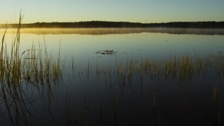 Lakeside, Shore, Lake, Water, Landscape, Sky
