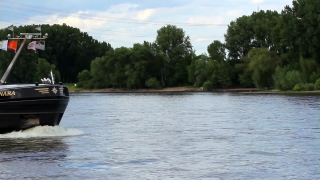 Lakeside, Shore, Lake, Water, Landscape, Tree