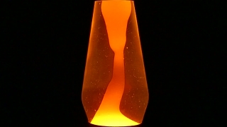 Lampshade, Shade, Protective Covering, Black, Yellow, Covering