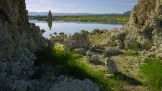 Landscape, Forest, River, Water, Lake, Tree