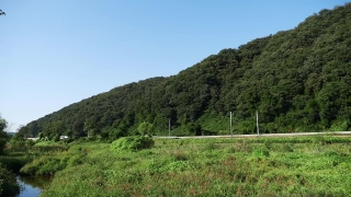 Landscape, Knoll, Tree, Mound, Mountain, Sky
