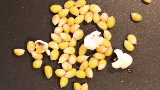Legume, Vegetable, Food, Produce, Lentil, Chickpea