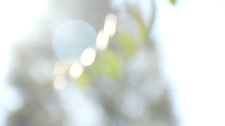 Light, Bright, 3d, Design, Group, Color