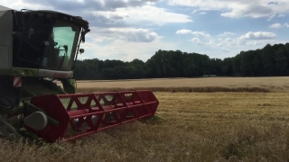 Machine, Harvester, Backhoe, Device, Farm Machine, Plow