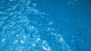 Marine, Sea, Water, Transparent, Ocean, Liquid