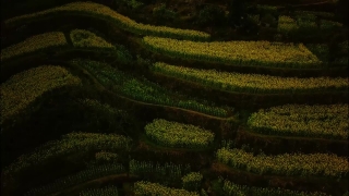 Maze, Landscape, Agriculture, Rural, Field, Farm